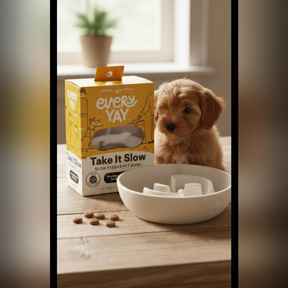 EveryYay Interactive Slow Feeder — Anti-Gulp Bowl for Cats, Dogs & Small Animals